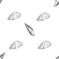 Seamless pattern with seashells. Marine background. Vector illustration in sketch style. Vintage stye in black and white colors. P