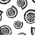 Vector background of seashells of nautiluses Royalty Free Stock Photo