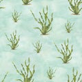 Seamless pattern with seaweed on gentle green background. Green algae. Hand painted watercolor illustration with fresh kelps.