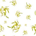 Seamless pattern with seaweed on white background. Yellow algae. Hand painted watercolor illustration with fresh kelps. Underwater