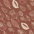 Seamless pattern with seeds and seed pods in autumn colors. Royalty Free Stock Photo