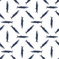 Seamless pattern sei whale on white background. Template of cartoon character of ocean for fabric