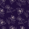 Seamless pattern  with sepia silhouettes of flowers of peony. Hand drawn ink and inverted sketch. Objects  on dark blue background Royalty Free Stock Photo