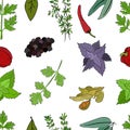 Seamless pattern with a set of culinary spices and herbs Royalty Free Stock Photo
