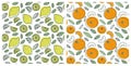 Seamless pattern set. Juicy fruit. Lemon, mandarin, tangerine. Hand drawn color vector sketch background. Colorful doodle Royalty Free Stock Photo