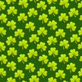 Seamless pattern of shamrock or clover. Seamless green background for St. Patrick day. Lucky background Royalty Free Stock Photo