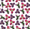 Seamless pattern shamrock clover trifolium leaves of different colors , summer floral texture, colorful background, wallpaper,