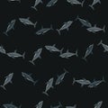 Seamless pattern shark on black background. Texture of marine fish for any purpose Royalty Free Stock Photo