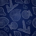 Seamless pattern with shells, coral and chains. Marine motif background. Pattern in nautical style with sea shells. Royalty Free Stock Photo
