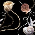 Seamless pattern with shells, coral and chains. Marine motif background. Pattern in nautical style with sea shells. Royalty Free Stock Photo
