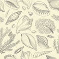 Seamless pattern shells, seaweed and mollusca different forms. sea creature. engraved hand drawn in old sketch, vintage