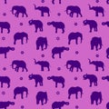 Seamless pattern, silhouette blue elephant on purple background,