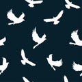Seamless pattern: silhouette of the eagle bird in white on a dark background. vector. Royalty Free Stock Photo