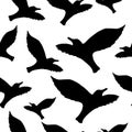 Seamless pattern with the silhouette of a flying seagull on a light sky background. Dark ink hand drawn logo in art style vintage Royalty Free Stock Photo