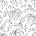 Seamless pattern of silhouette leaves, branches. Decorative outline collection of black and white plants. Hand drawn botanical Royalty Free Stock Photo