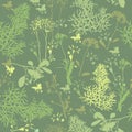 Seamless pattern of silhouette various herbs.