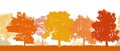 Seamless pattern. Silhouettes of different trees in autumn. Vector illustration