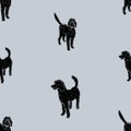 Seamless pattern of silhouettes drawn funny black dogs Royalty Free Stock Photo