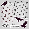 Seamless pattern with silhouettes of flying black birds. Two patterns with birds. Crows with elements and text. Stickers