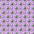 Seamless pattern with simple daisy flowers shapes. Purple background. Natural floral backdrop. Vector design for textile, fabric,