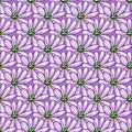 Seamless pattern with simple daisy flowers shapes. Purple background. Natural floral backdrop. Vector design for textile, fabric, Royalty Free Stock Photo