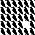 Seamless pattern with single white crow among black crows. Royalty Free Stock Photo