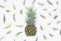 Seamless pattern single whole pineapple and Pineapple leaves isolated on white background Royalty Free Stock Photo