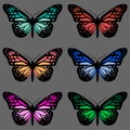 Seamless pattern with six colorful butterflies on grey background Royalty Free Stock Photo