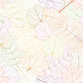 Seamless pattern with skeleton leaves.