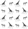 Seamless pattern of sketch giraffe and zebra Royalty Free Stock Photo