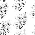 Seamless pattern with sketch Lily flowers, floral decor black and white. Vector Illustration.