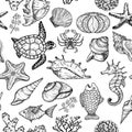 Seamless pattern with sketch of sea shells, fish, corals and turtle. Ocean life