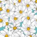 Seamless pattern sketch white chamomile flowers design print blue background for textile and fabric ornament vector illustration Royalty Free Stock Photo