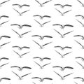 Seamless pattern of sketches flying seagulls Royalty Free Stock Photo