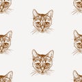 Seamless pattern of sketches head small domestic kitten