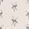 Seamless pattern of sketches heads of young deer