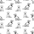Seamless pattern of sketches of sitting small dogs