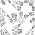 Seamless pattern of sketches various birds feathers
