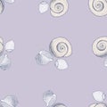 Seamless pattern of sketches various decorative seashells