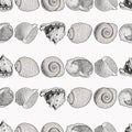 Seamless pattern of sketches various seashells