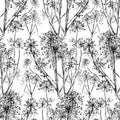Seamless pattern of sketches of wild umbellate flowers