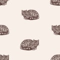 Seamless pattern of sketches young domestic cats