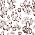 Seamless pattern with sketchy cactuses. Royalty Free Stock Photo