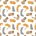 Seamless pattern sleeping cats of different breeds vector illustration