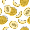 Seamless pattern with sliced japanese melons, orange melon or cantaloupe melon isolated on white background. Royalty Free Stock Photo