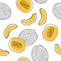 Seamless pattern with sliced japanese melons, orange melon or cantaloupe melon isolated on white background. Royalty Free Stock Photo