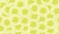 Seamless pattern with sliced yellowgreen lemons.