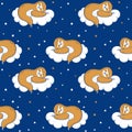 Seamless pattern with sloth sleeping on a cloud. Vector