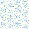 Seamless pattern with small blue flowers. Vector i