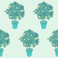 Seamless pattern of small citrus tree in a pot